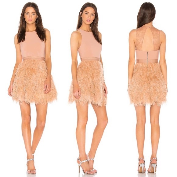 Alice + Olivia Philomena Dress in Rose Tan Sz 0 NWT.